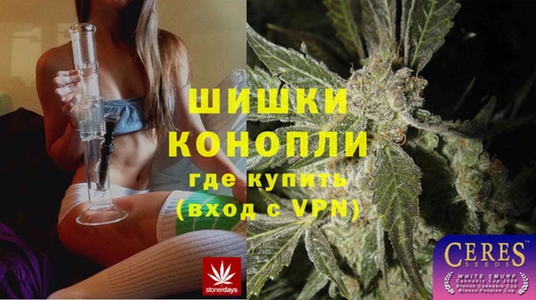 сатива Алексин