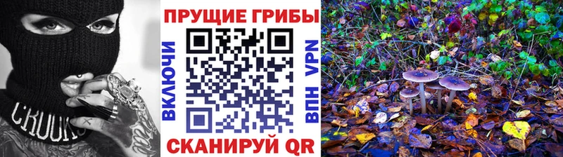 где купить наркоту Кириши Псилоцибиновые грибы Magic Shrooms